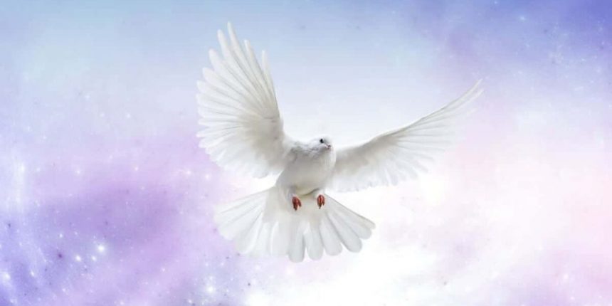 Grieve Not The Holy Spirit…